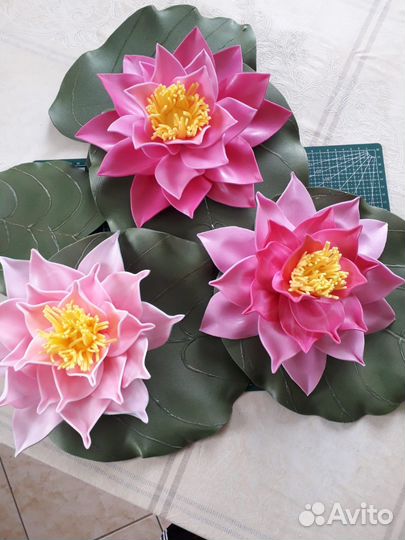 Водяная лилия