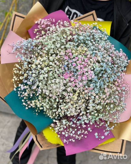 Гипсофила разных цветов с WOW-эффектом