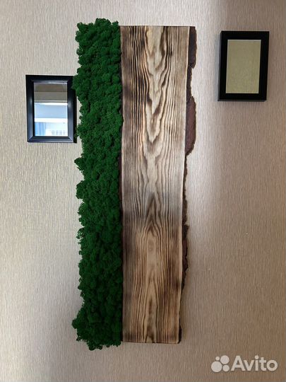 Мох, искусство, картина