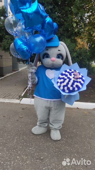 Костюмы аниматоров на любые праздники