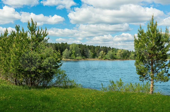 Участок 24,4 сот. (ИЖС)