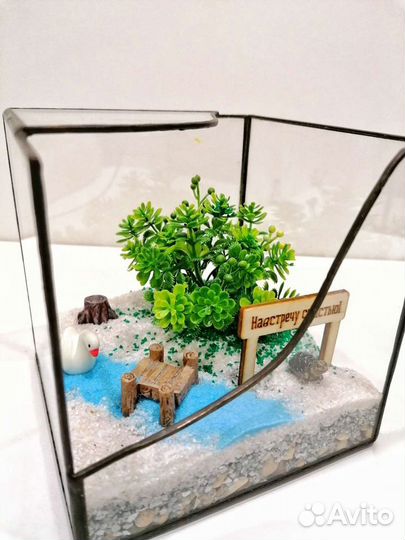 Флорариумы