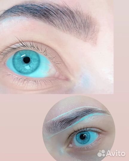 Мастер бровист