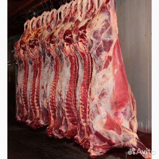 Мясо баранина-ягнята