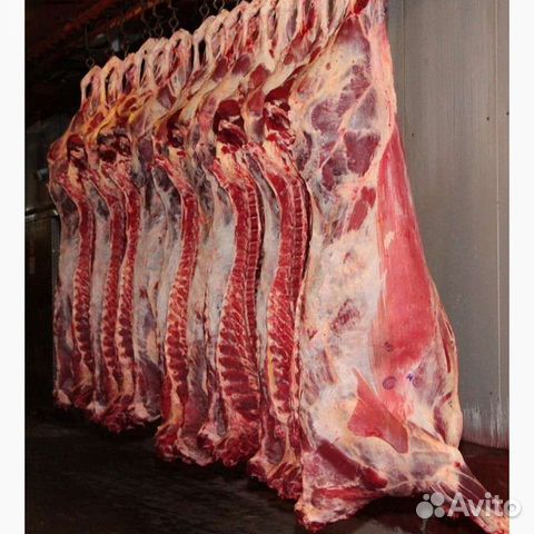 Мясо баранина-ягнята