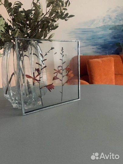 Гербарий в стекле