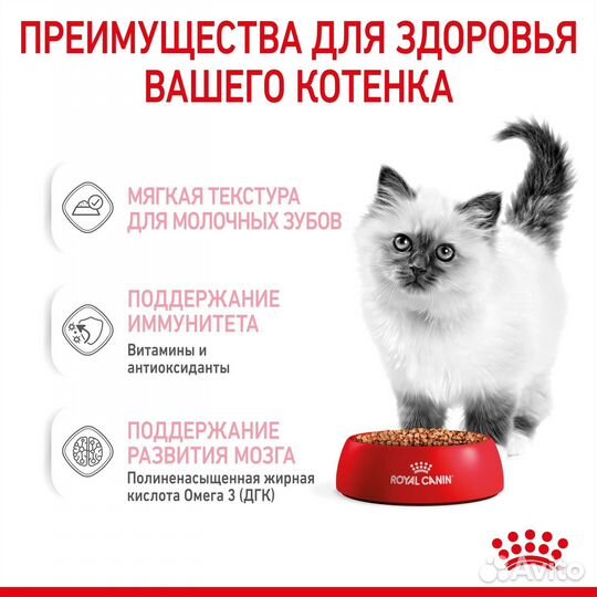 Royal Canin паучи кусочки в соусе для котят 4-12 м