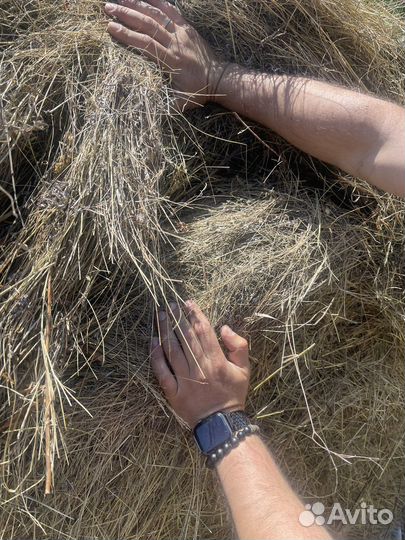 Сено в тюках рулон 300кг