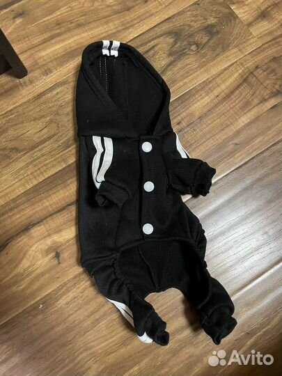 Одежда для собак мелких пород