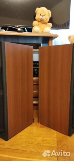 Акустическая система Вега 50 ас-106