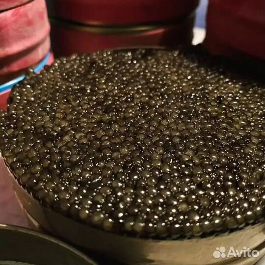 Малосол черная икра