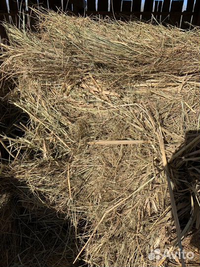 Сено в рулонах