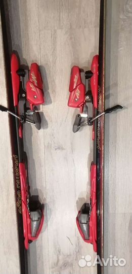 Горные лыжи fischer