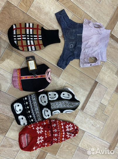 Одежда для собаки