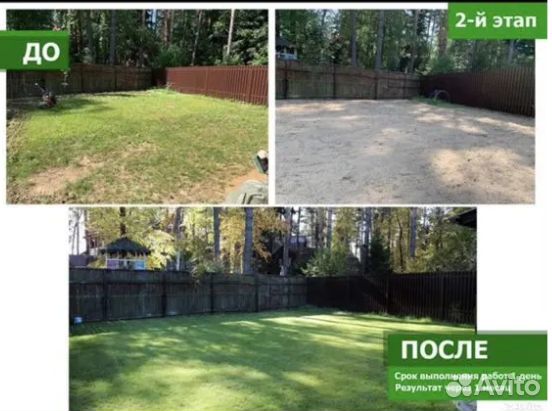 Укладка газона под ключ