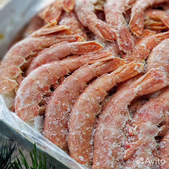 Лангустины (Креветки Аргентинские) С1 без головы