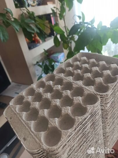 Ячейки для перепелиных яиц