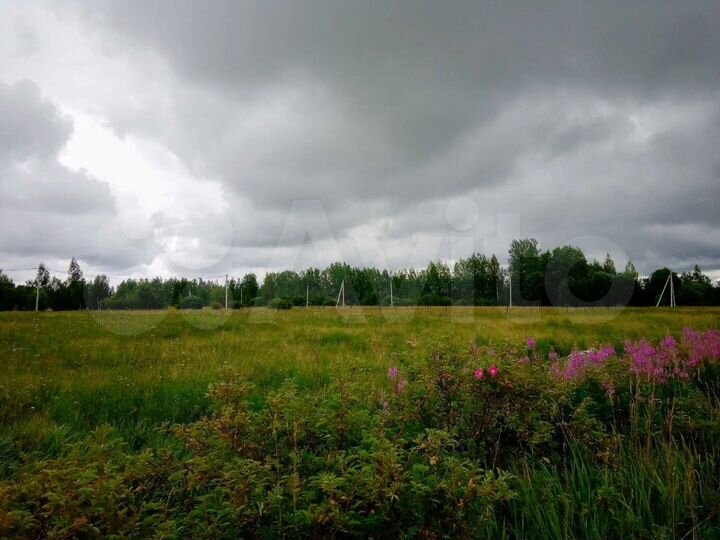 Участок 18 сот. (ИЖС)