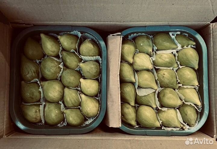 Инжир свежий