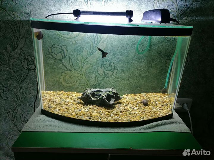 Аквариум