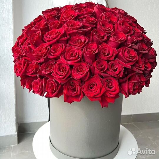 151 премиальные красные розы в коробке