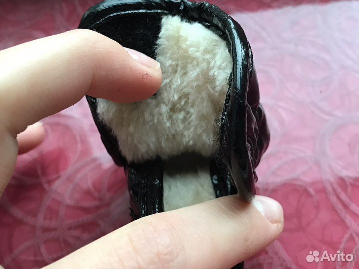 Ботинки и куртка зимние для собак чихуа