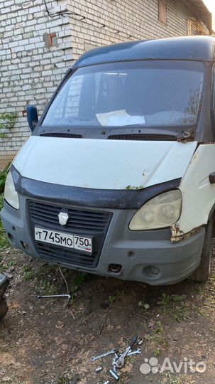 В разборе соболь