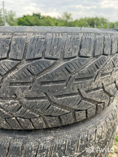 Tigar Winter 215/50 R17