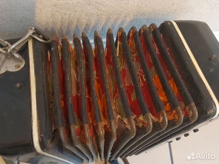 Аккордеон Беларусь