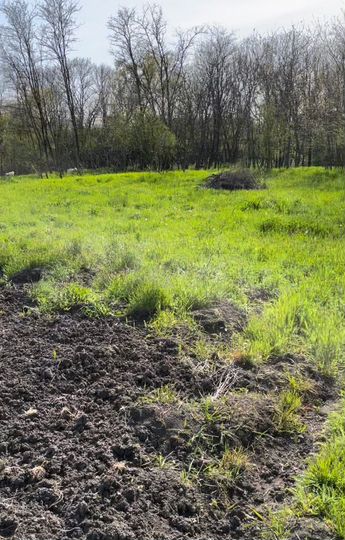 Участок 30 сот. (ИЖС)