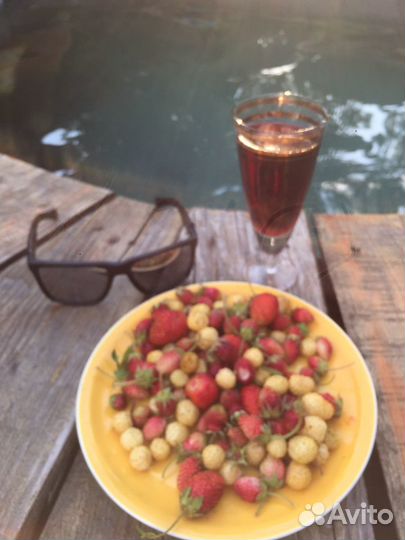 Беседка для пикника