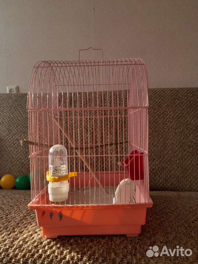 Клетка для попугая