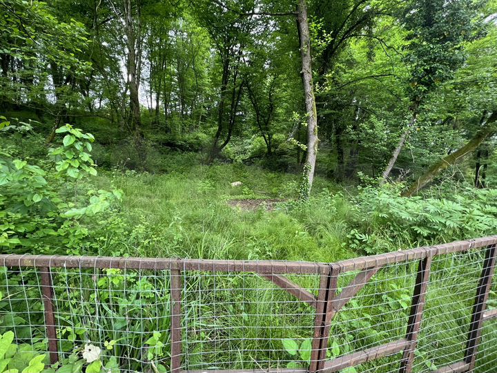 Участок 6 сот. (ИЖС)