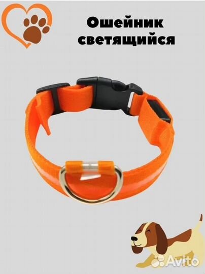 Светящийся ошейник для собак