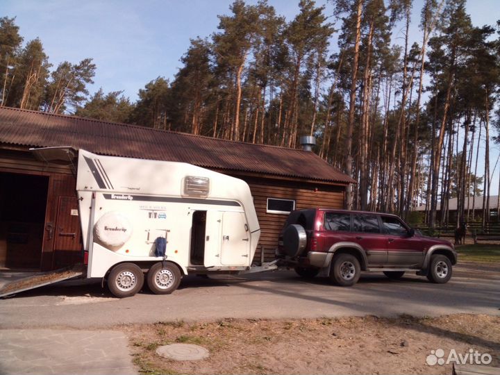 Конеперевозки.Перевозки Коров.Любых Животных. Букс
