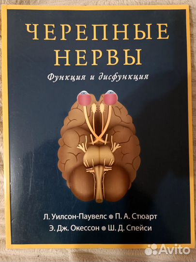 Неврология. Черепные нервы