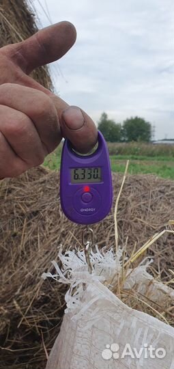 Сено в мешках