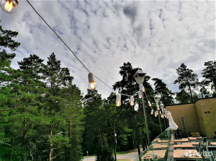 Электрогирлянда сьемные лампы