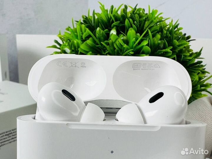 AirPods Pro 2 (type C, 2024 )