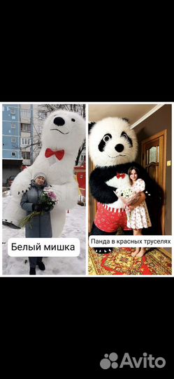 Белый мишка поздравление