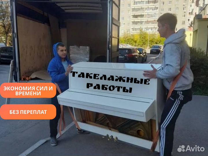 Грузоперевозки