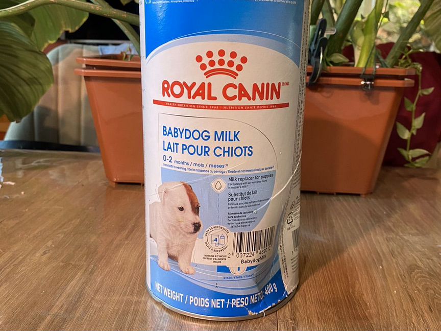 Royal canin babydog milk