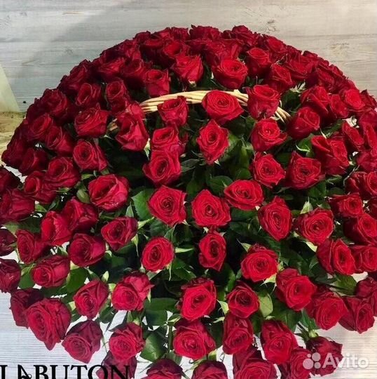 Букет из 101 роз Цветы