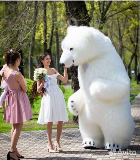 Поздравление от мишек 2,6 метра