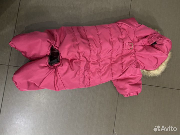 Комбинезон для маленькой собаки зима