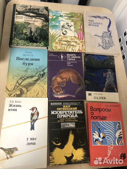 Природа,путешествия,животный мир