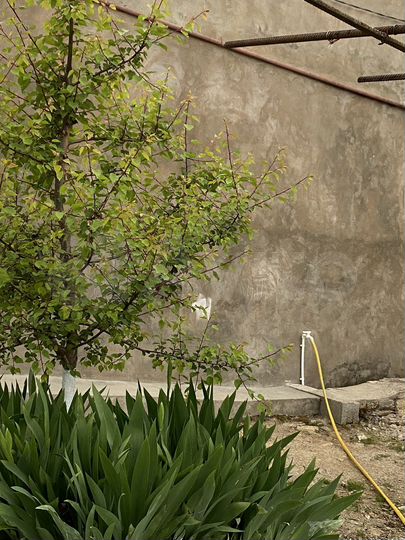 Дом 600 м² на участке 6 сот.