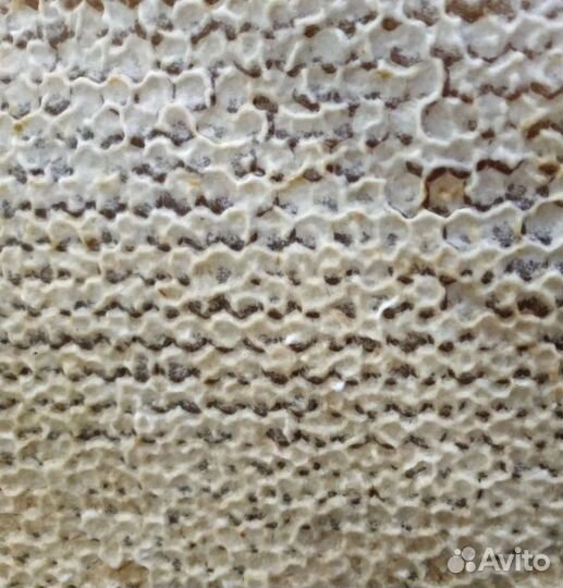 Мёд липовый чистый 2022 г (гш213)