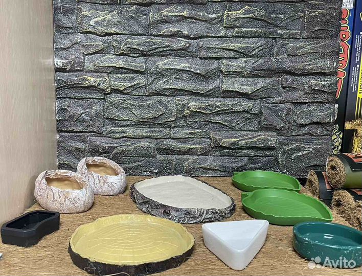 Террариумистика