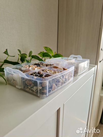 Ракушки, морские звезды, камни